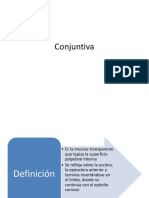 conjuntiva