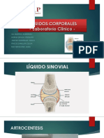 LIQ CORPORALES.pptx