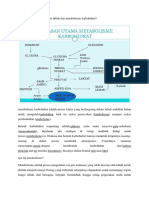 Materi Metabolisme Karbohidrat