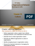 Chapter 18 - Organizational Culture