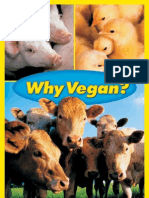 Why Vegan: Boycott Cruelty