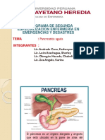 Pancreatitis Aguda Ppt