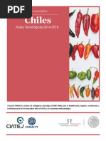 Chiles Rutas Tecnológcias 2014-2018