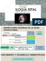 Fisiología Fetal Obstetricia 1