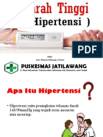 Hipertensi Promkes