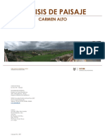 Análisis del paisaje de Carmen Alto