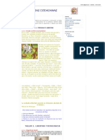 Competencias Ciudadanas - Ejercicios Prácticos PDF