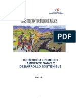 Módulo 14_derecho a Un Medio Ambiente Sano