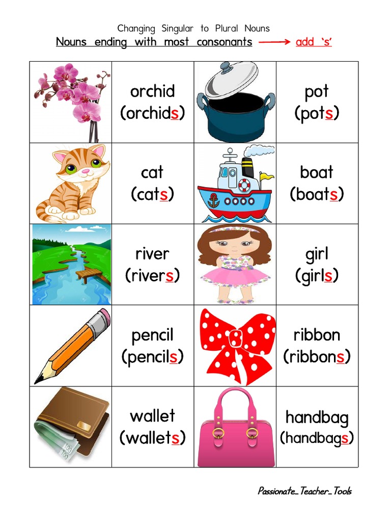 Orchid (Orchid) Pot (Pot) Nouns Ending With Most Consonants PDF