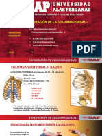 Dorsal - Procedimientos