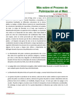 27. Mas sobre la Polinizacion del maiz.pdf