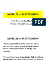 Muscles of Mastication: Prof. Peter Stanko, MD, PHD Oral and Maxillofacial Surgeon