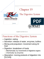 Lecture 9 The Digestive System