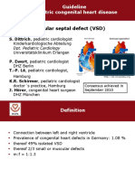 LL_Guideline VSD website.pdf