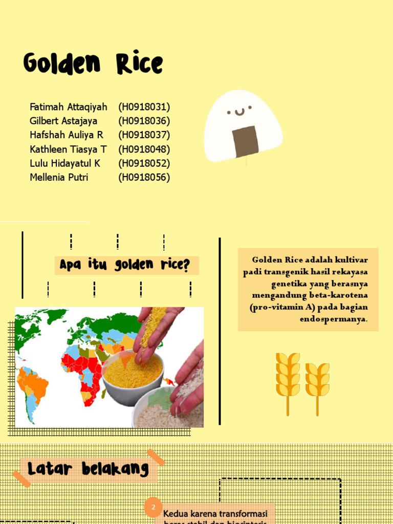 Keunggulan dan Kerugian Golden Rice | PDF