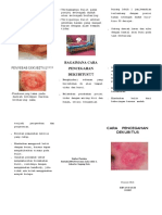 Leaflet Dekubitus