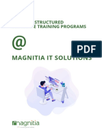 Magnitia IT - Company Profile