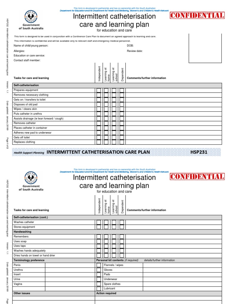 Intermittent Catheterisation Care and Learning Plan | PDF | Urology ...