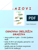 GMAZOVI