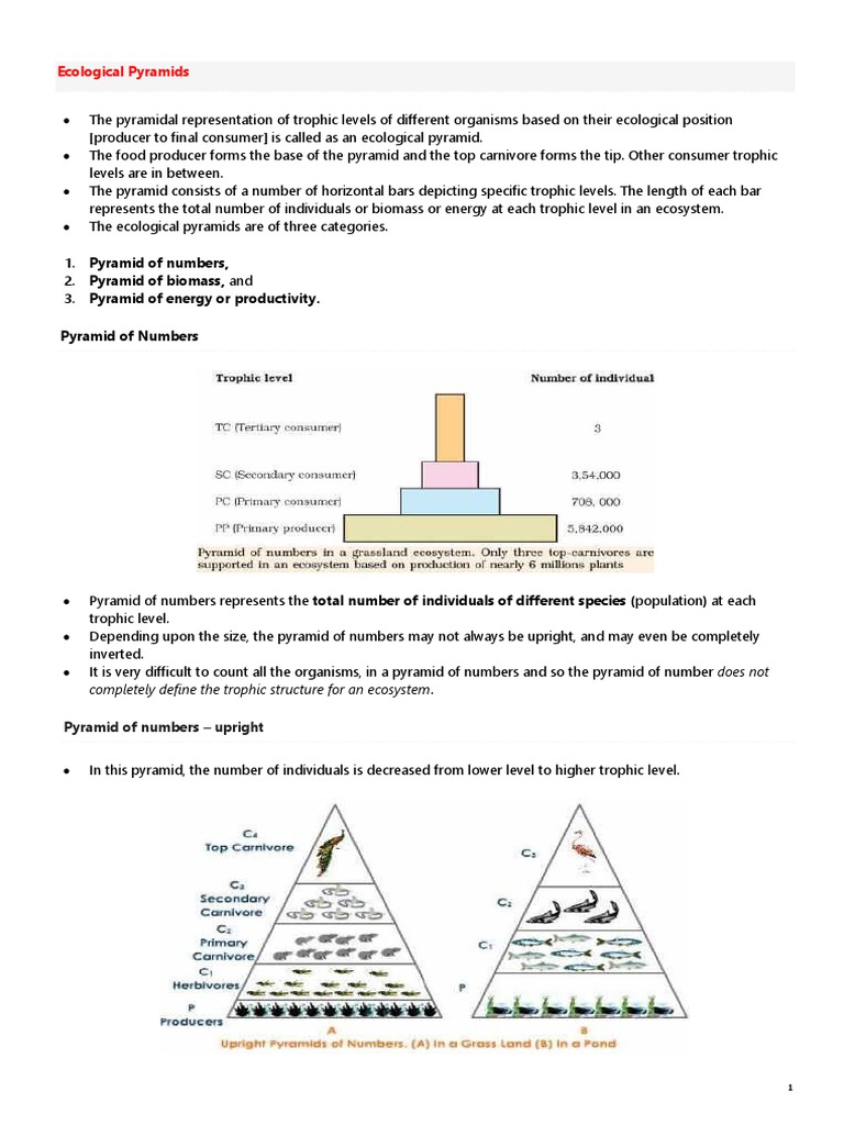 ecological-pyramids-worksheet-answers