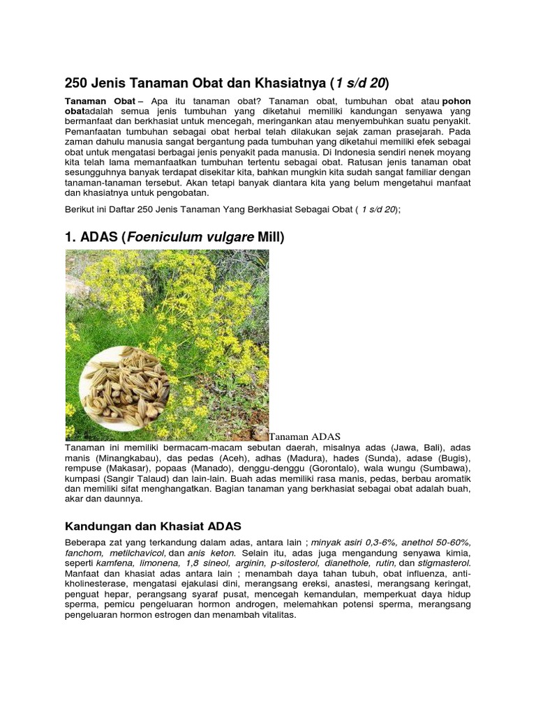 250 Jenis Tanaman Obat Dan Khasiatnya