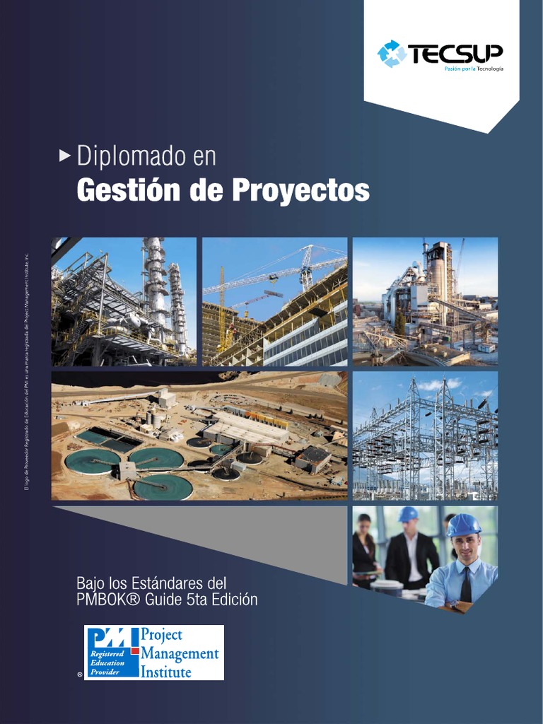 Diplomado en Gestion de Proyectos Bajo Los Estándares Del PMBOK 5ta ...