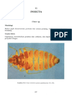 Bab 11 Insecta.pdf