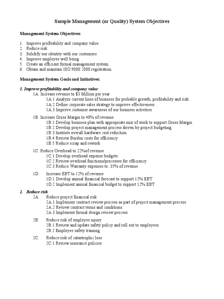 Management System Objectives Overview | PDF | Iso 9000 | Business