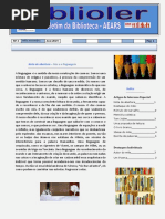 Newsletter - Novembro 19