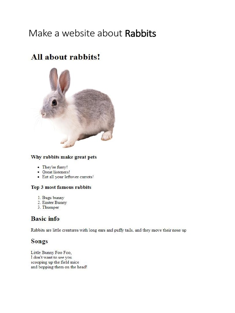Rabbit Web Page | PDF
