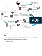 Mind Mapping Protein