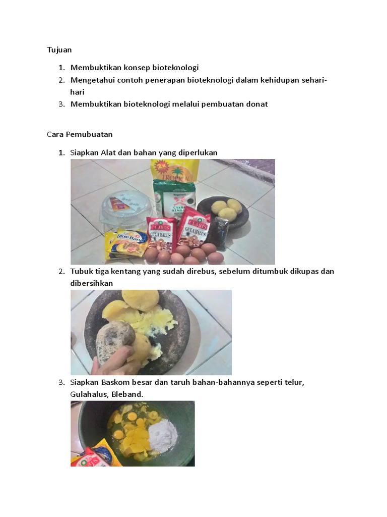 Laporan Praktikum Ipa Donat