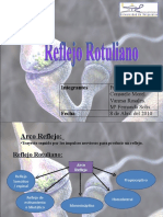 Reflejo Rotuliano 2