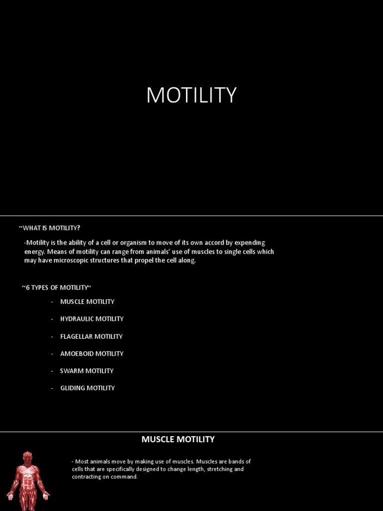 Motility | PDF | Bacteria | Cell (Biology)