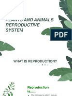 Reproductive System Plants and Animals