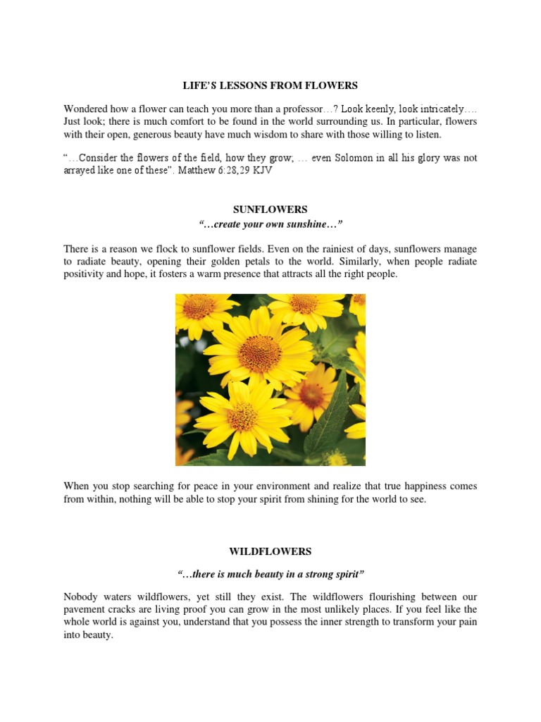 Life's Lesson From Flowers PDF