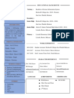 Tertiary: Bachelor of Science Information System: Educational Background