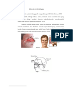 Tp Sinusitis