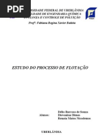 Estudo Do Processo de Flotação - Final