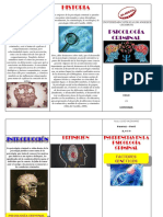 Triptico - Sicologia Criminal