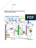 Petro Flowchart