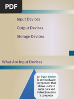 Input Output Storage Devices PDF