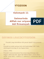 11.LEUCOCYTOZOON (Parasitologi)
