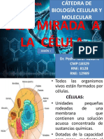 Sesión 1 - Biologia Celular y Molecular