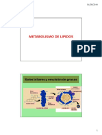 Metabolismo de los Lipidos (y bioq).pdf