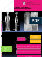 Anatomía y alteraciones de la columna vertebral