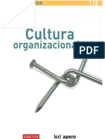 Cultura organizacional