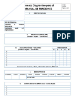 02 Formato Diagnostico Manual de Funciones