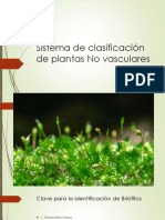 Sistema de Clasificación de Plantas No Vasculares