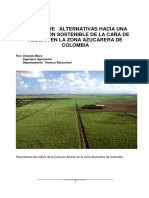 Manual de Alternativas Hacia Una Producción Sostenible de La Caña de Azúcar en La Zona Azucarera de Colombia